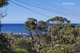 Photo - 164 Fuller Street, Collaroy Plateau NSW 2097 - Image 5