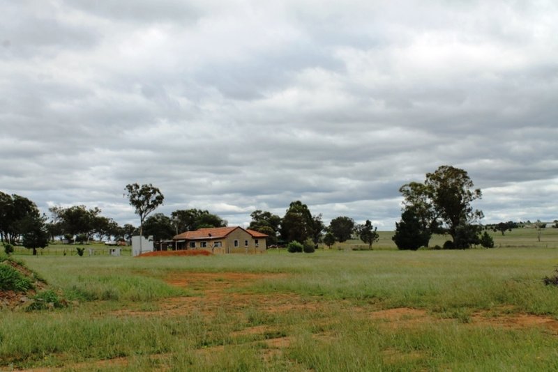 Photo - 164 Grimshaw Lane, Gulgong NSW 2852 - Image 4