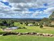 Photo - 164 Haydens Road, Kingaroy QLD 4610 - Image 21