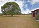 Photo - 164 Joynsons Road, Torbanlea QLD 4662 - Image 11