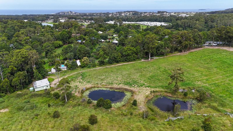 Photo - 164 Newmans Road, Woolgoolga NSW 2456 - Image 3