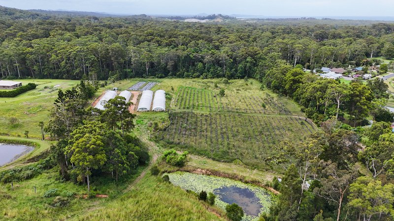 Photo - 164 Newmans Road, Woolgoolga NSW 2456 - Image 6