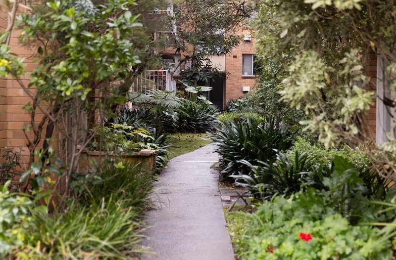 Photo - 16/44-50 Ewart Street, Marrickville NSW 2204 - Image 11
