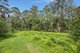 Photo - 1645 Araluen Road, Deua River Valley NSW 2537 - Image 8