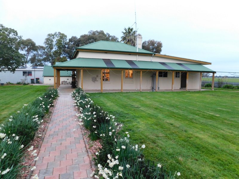 Photo - 16472 Dukes Highway, Bordertown SA 5268 - Image 30