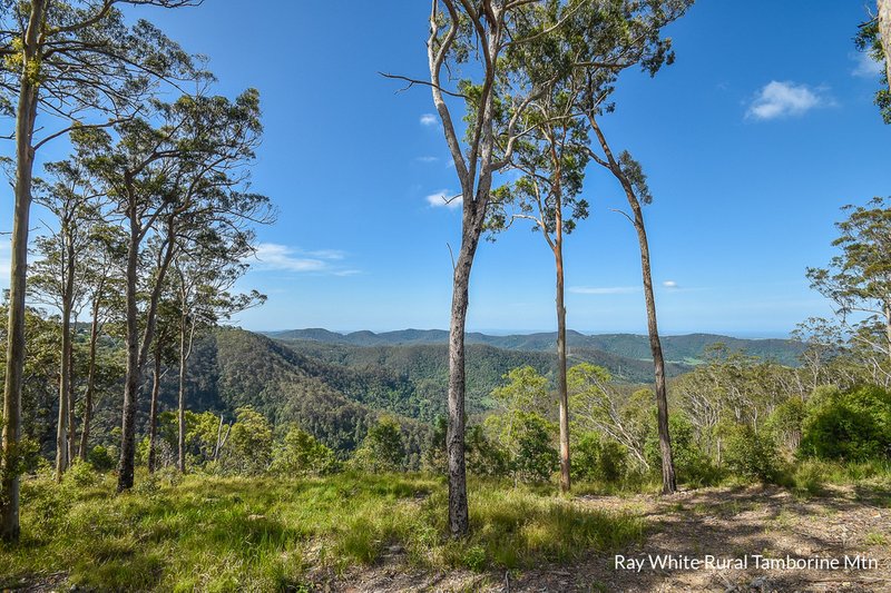 164b Wongawallan Road, Tamborine Mountain QLD 4272