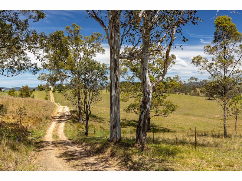 165 Bulby Brush Road, Bunyah NSW 2429