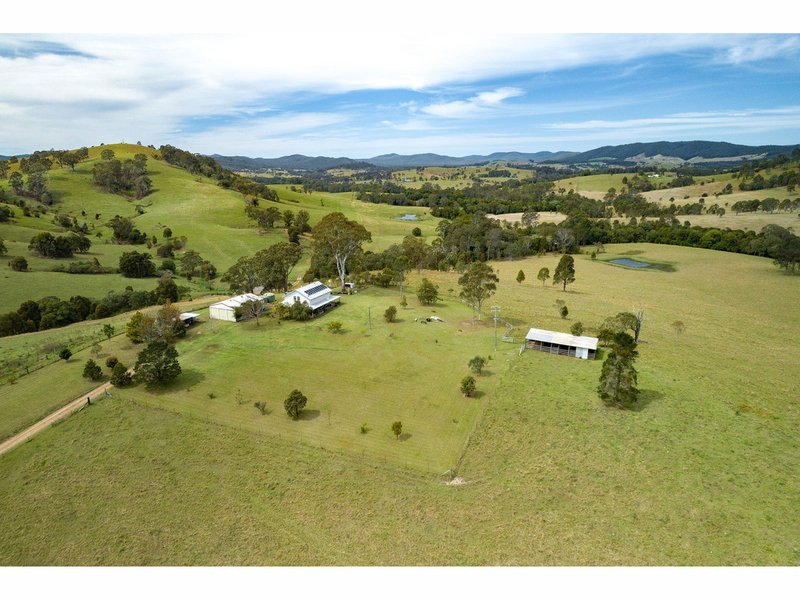 Photo - 165 Bulby Brush Road, Bunyah NSW 2429 - Image 2