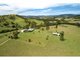 Photo - 165 Bulby Brush Road, Bunyah NSW 2429 - Image 2