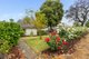 Photo - 165 Coolgardie Street, Mundaring WA 6073 - Image 2