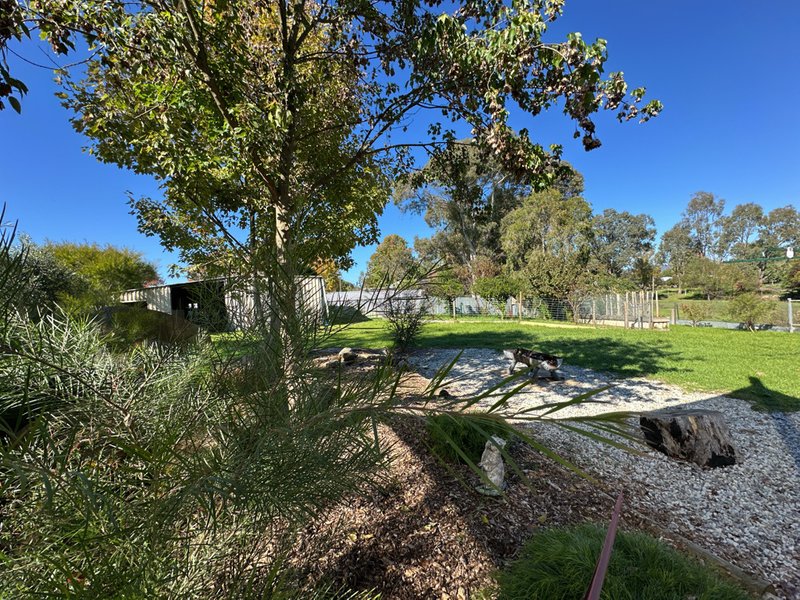 Photo - 165 Harris Street, Corryong VIC 3707 - Image 16
