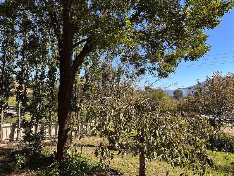 Photo - 165 Harris Street, Corryong VIC 3707 - Image 19