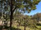 Photo - 165 Harris Street, Corryong VIC 3707 - Image 19