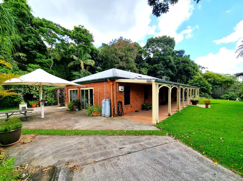 165 Long Road, Tamborine Mountain QLD 4272