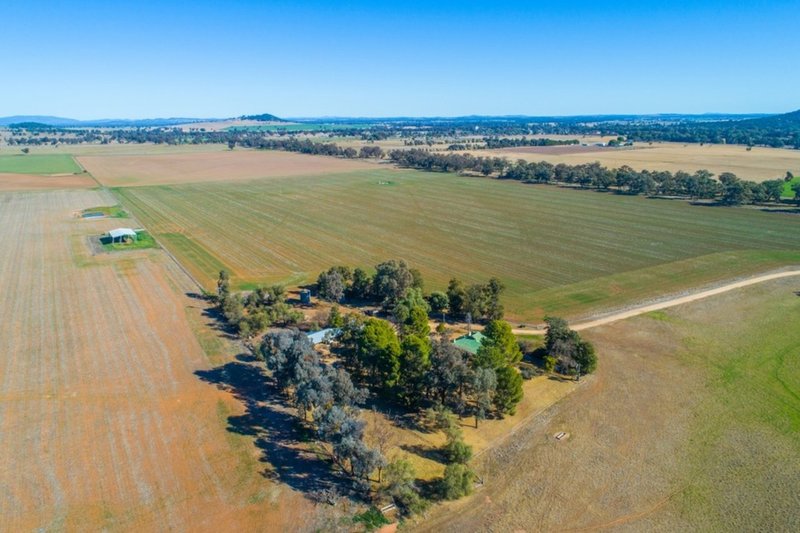 165 Pengillys Lane, Eugowra NSW 2806