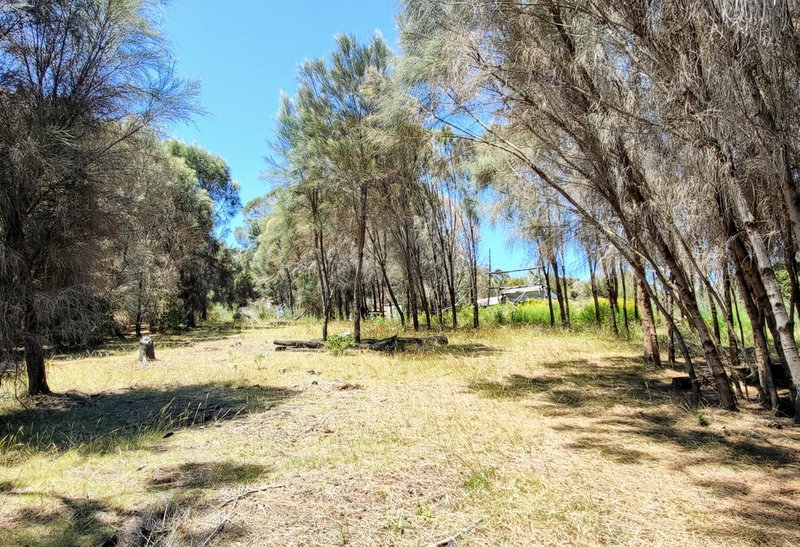 Photo - 165 Port Davies Road, Emita TAS 7255 - Image 5