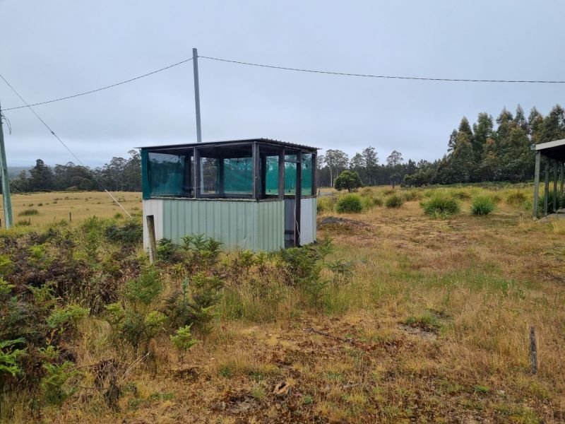 Photo - 1652 Dennistoun Road, Bothwell TAS 7030 - Image 5