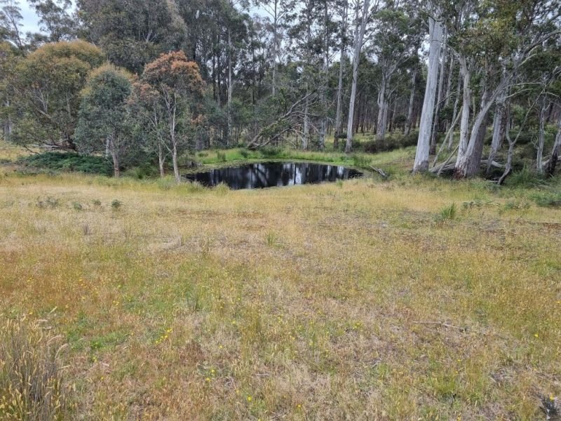 Photo - 1652 Dennistoun Road, Bothwell TAS 7030 - Image 9