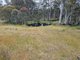 Photo - 1652 Dennistoun Road, Bothwell TAS 7030 - Image 9