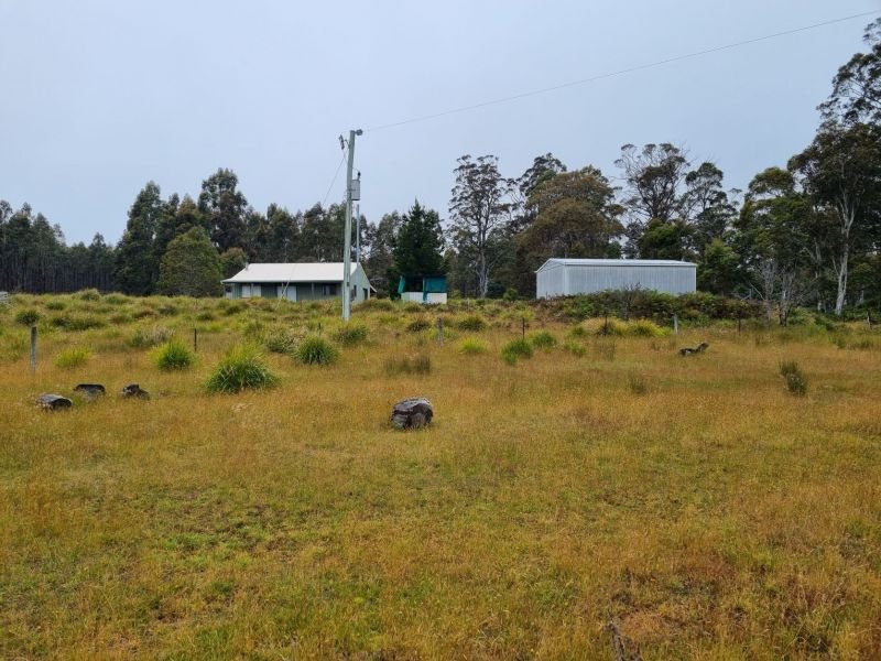 Photo - 1652 Dennistoun Road, Bothwell TAS 7030 - Image 12