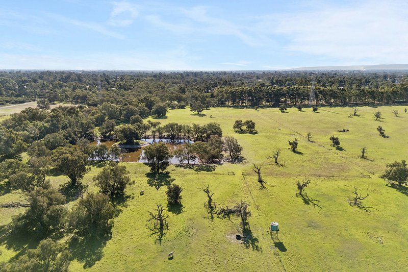 Photo - 1653 Thomas Road, Oakford WA 6121 - Image 18
