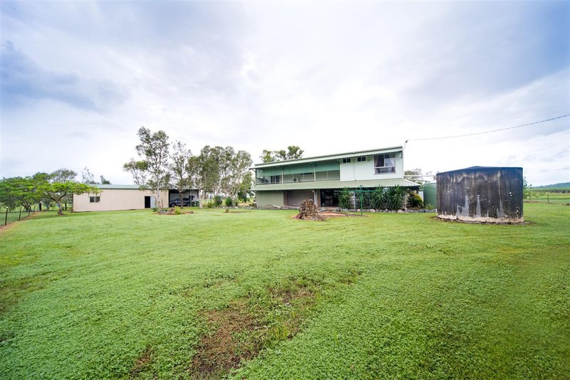 Photo - 1654 Crystalbrook Road, Crystal Brook QLD 4800 - Image 23