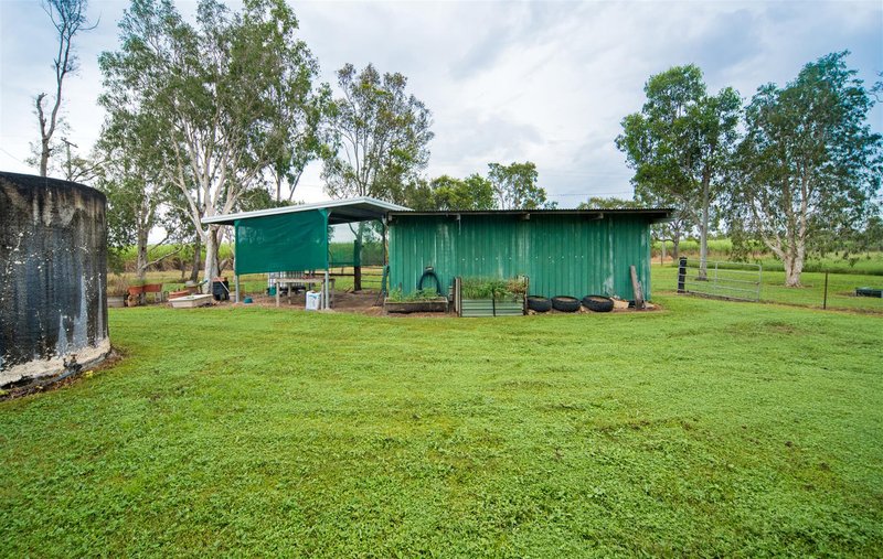 Photo - 1654 Crystalbrook Road, Crystal Brook QLD 4800 - Image 24