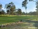 Photo - 1656 Maitland Vane Road, Lambs Valley NSW 2335 - Image 6