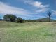 Photo - 166 Alpers Road, Mount Mort QLD 4340 - Image 21