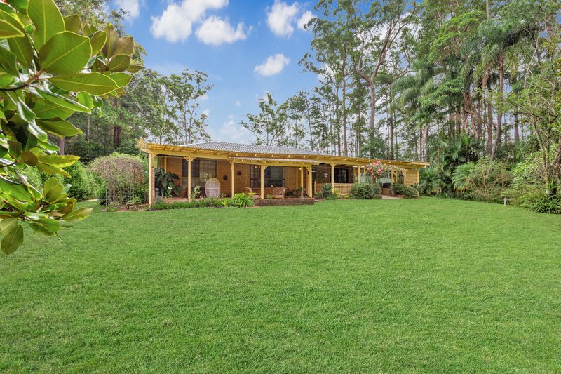 Photo - 166 Candle Mountain Drive, Crohamhurst QLD 4519 - Image 16