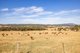 Photo - 166 Glenroy Lake Road, Tumbarumba NSW 2653 - Image 12