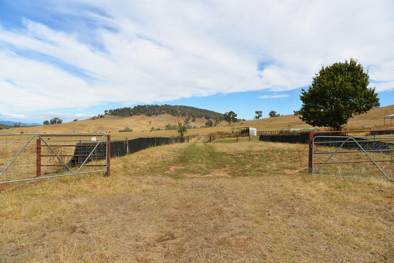 Photo - 166 Glenroy Lake Road, Tumbarumba NSW 2653 - Image 32