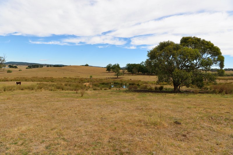 Photo - 166 Glenroy Lake Road, Tumbarumba NSW 2653 - Image 33