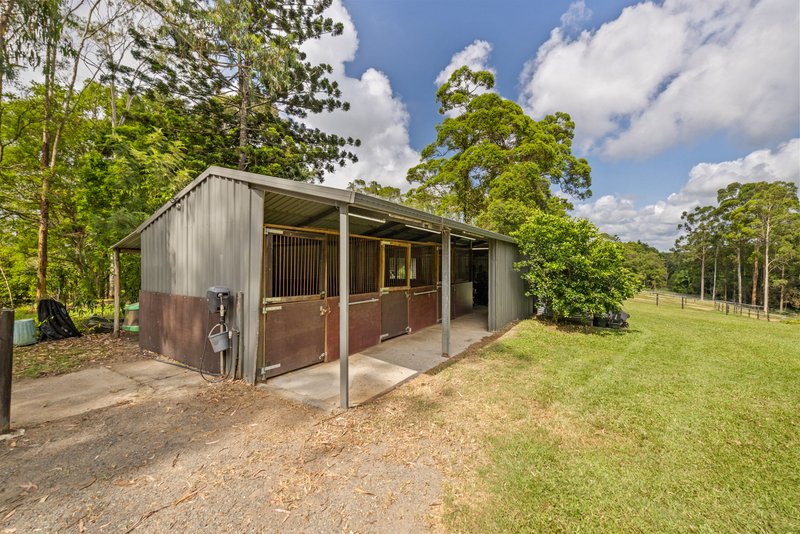 Photo - 166 Nandroya Road, Cooroy QLD 4563 - Image 19