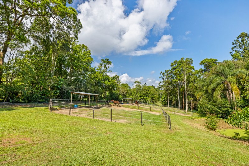 Photo - 166 Nandroya Road, Cooroy QLD 4563 - Image 20