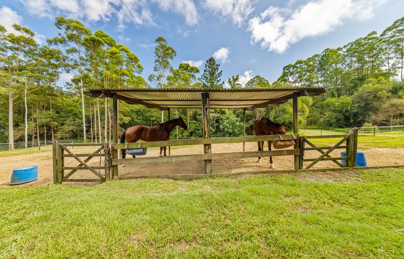 Photo - 166 Nandroya Road, Cooroy QLD 4563 - Image 21