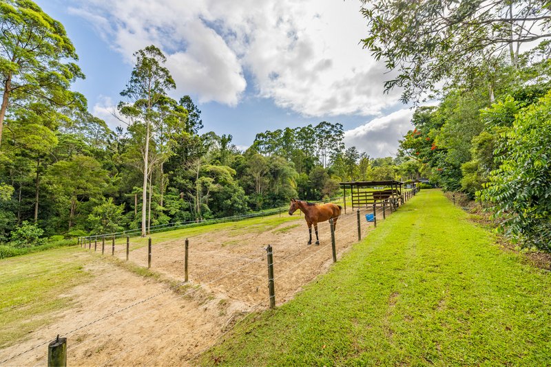 Photo - 166 Nandroya Road, Cooroy QLD 4563 - Image 22