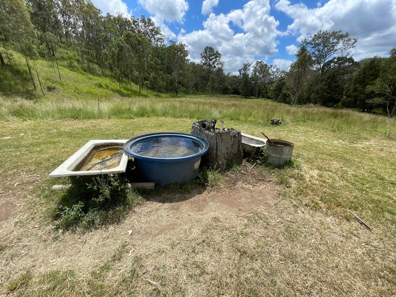 Photo - 166 Oakey Mill Road, Eskdale QLD 4312 - Image 6