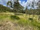 Photo - 166 Oakey Mill Road, Eskdale QLD 4312 - Image 16