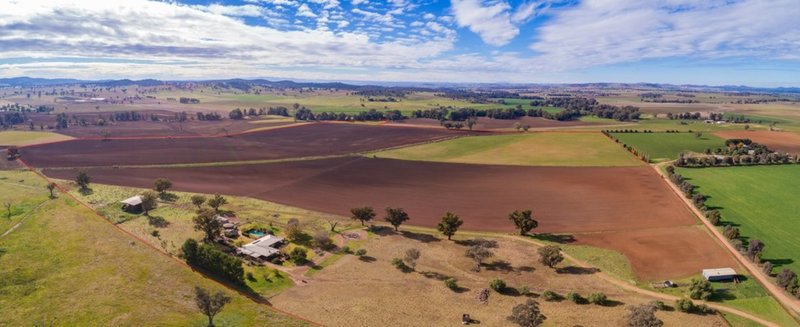 166 Settlement Bridge Road, Canowindra NSW 2804