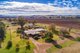 Photo - 166 Settlement Bridge Road, Canowindra NSW 2804 - Image 2