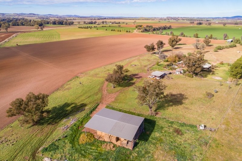 Photo - 166 Settlement Bridge Road, Canowindra NSW 2804 - Image 4