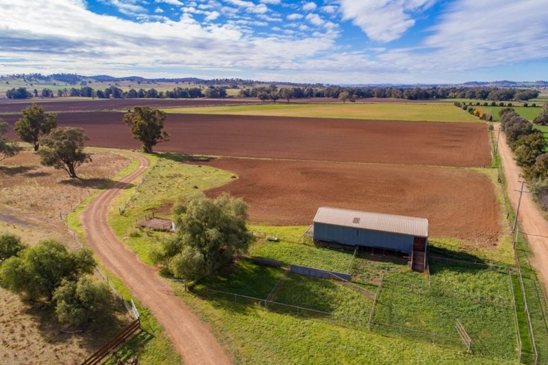 Photo - 166 Settlement Bridge Road, Canowindra NSW 2804 - Image 7