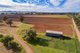 Photo - 166 Settlement Bridge Road, Canowindra NSW 2804 - Image 7