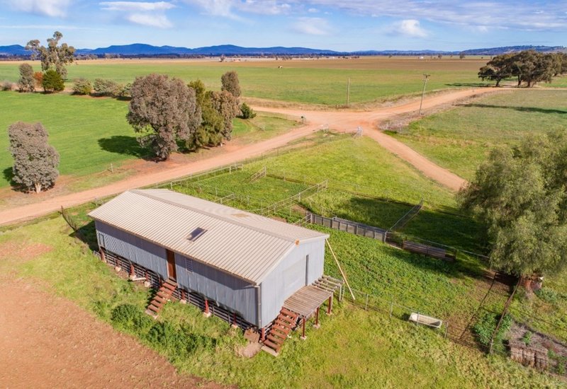 Photo - 166 Settlement Bridge Road, Canowindra NSW 2804 - Image 8