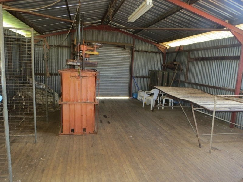 Photo - 166 Settlement Bridge Road, Canowindra NSW 2804 - Image 10