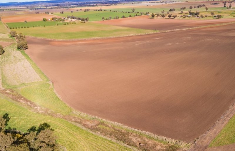 Photo - 166 Settlement Bridge Road, Canowindra NSW 2804 - Image 12