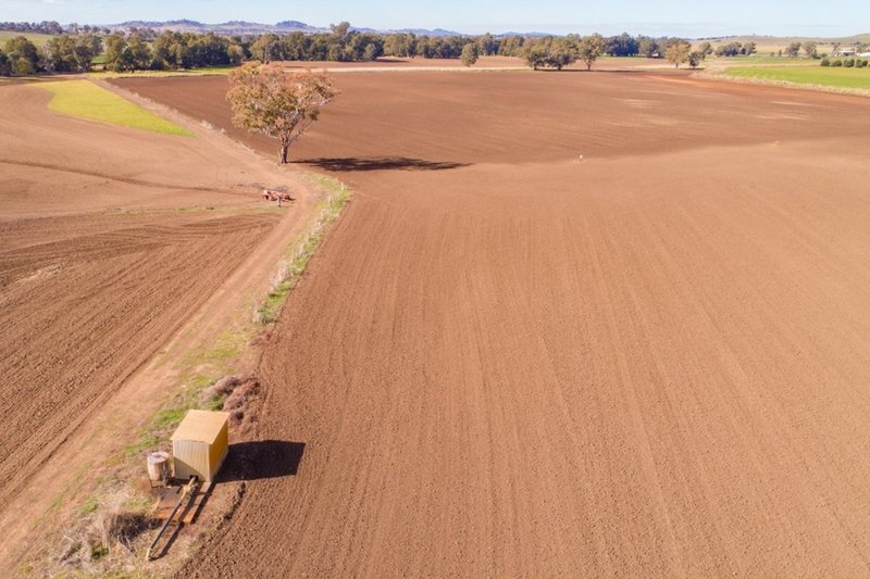 Photo - 166 Settlement Bridge Road, Canowindra NSW 2804 - Image 16