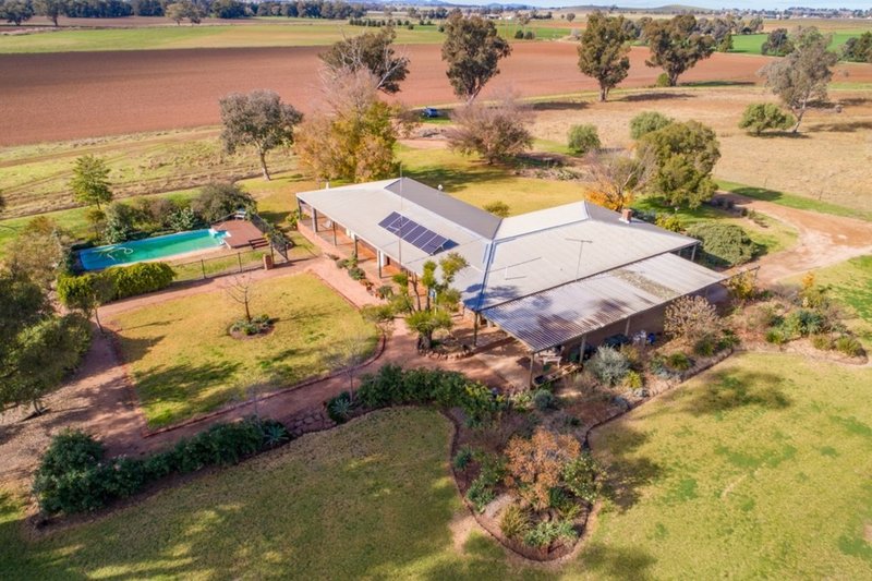 Photo - 166 Settlement Bridge Road, Canowindra NSW 2804 - Image 17