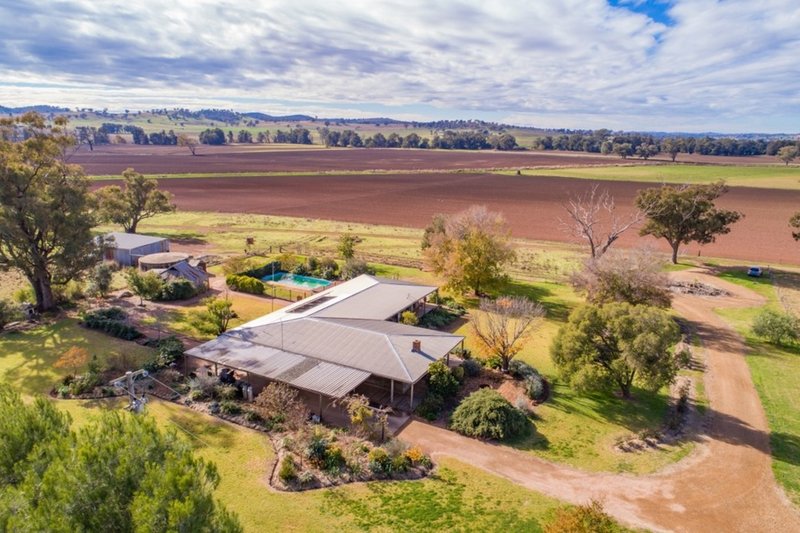 Photo - 166 Settlement Bridge Road, Canowindra NSW 2804 - Image 18